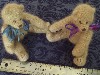 bears