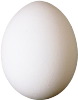 egg egg