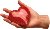 heart in hand heart in hand