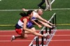 hurdles