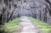 Mystic Path Mystic Path